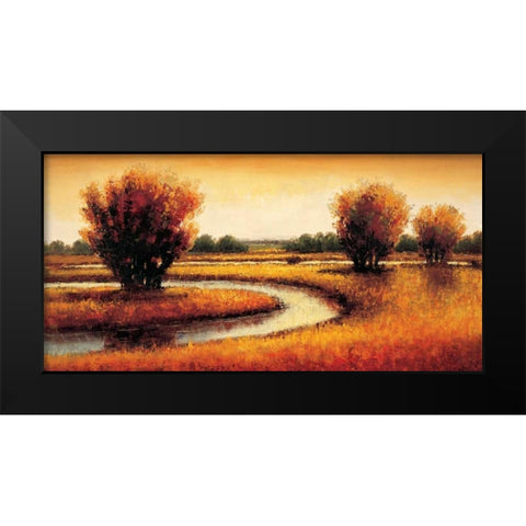 Golden Reflections II Black Modern Wood Framed Art Print by Williams, Gregory