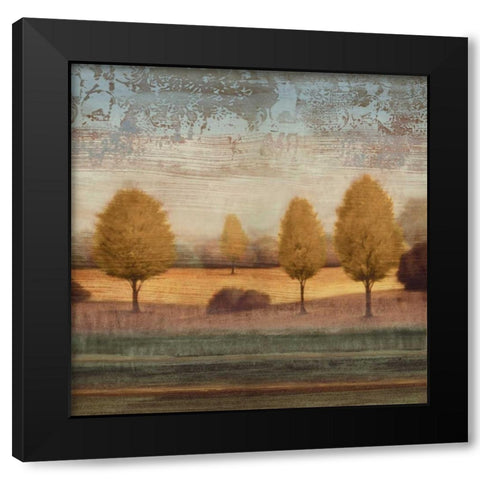 In Awe I Black Modern Wood Framed Art Print with Double Matting by Williams, Gregory
