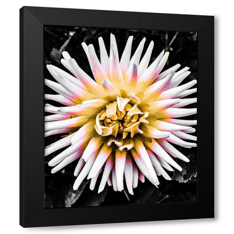 Color Pop Yellow Black Modern Wood Framed Art Print with Double Matting by Bannon, Heidi