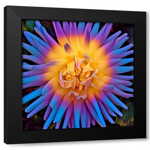 Pastel Pop Black Modern Wood Framed Art Print with Double Matting by Bannon, Heidi
