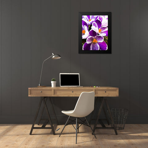 Springtime Dance Black Modern Wood Framed Art Print by Bannon, Heidi