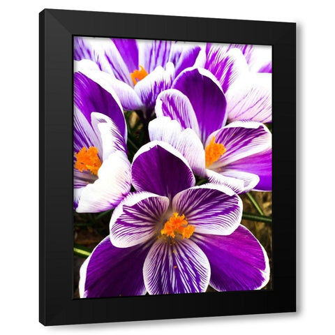 Springtime Dance Black Modern Wood Framed Art Print with Double Matting by Bannon, Heidi
