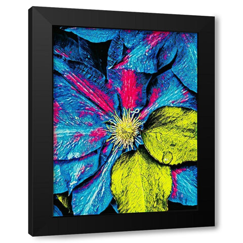 Clematis Abstract Black Modern Wood Framed Art Print by Bannon, Heidi