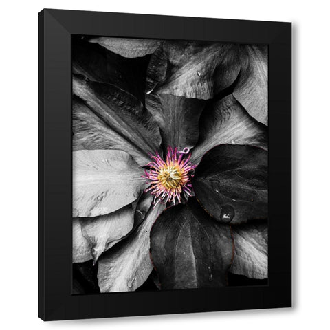 Just a Touch Black Modern Wood Framed Art Print with Double Matting by Bannon, Heidi