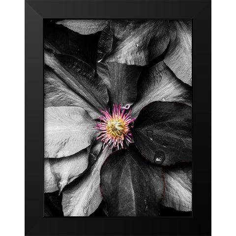 Just a Touch Black Modern Wood Framed Art Print by Bannon, Heidi