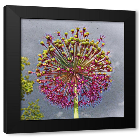 Sphere Black Modern Wood Framed Art Print with Double Matting by Bannon, Heidi