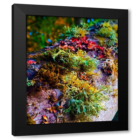 Must Love Moss Black Modern Wood Framed Art Print by Bannon, Heidi