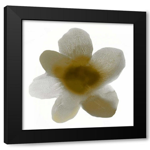 Bloom Taupe I Black Modern Wood Framed Art Print by Carlson, Hannah