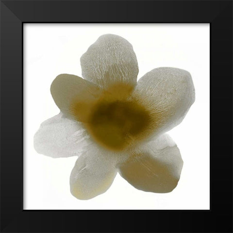 Bloom Taupe I Black Modern Wood Framed Art Print by Carlson, Hannah