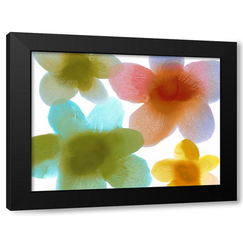 Floral Friends I Black Modern Wood Framed Art Print by Carlson, Hannah
