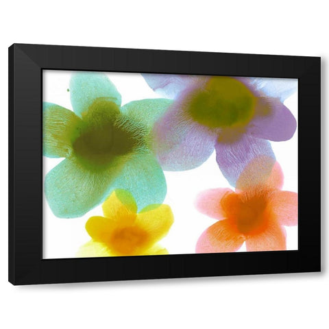 Floral Friends II Black Modern Wood Framed Art Print by Carlson, Hannah