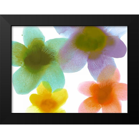 Floral Friends II Black Modern Wood Framed Art Print by Carlson, Hannah