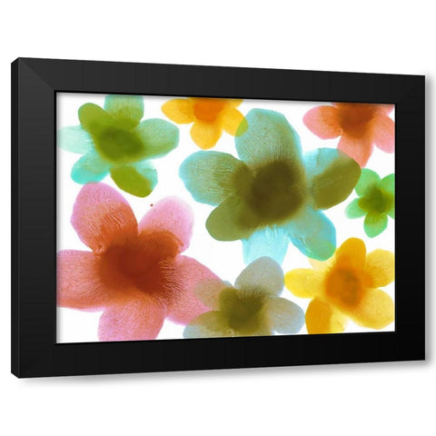 Floral Friends III Black Modern Wood Framed Art Print by Carlson, Hannah