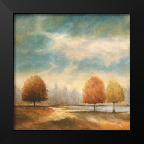 Light and Shadows II Black Modern Wood Framed Art Print by Leonard, Jeffrey