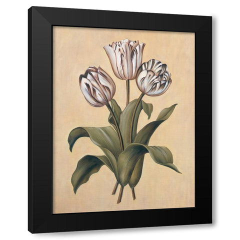 Tulips II Black Modern Wood Framed Art Print by Deveraux, Jill