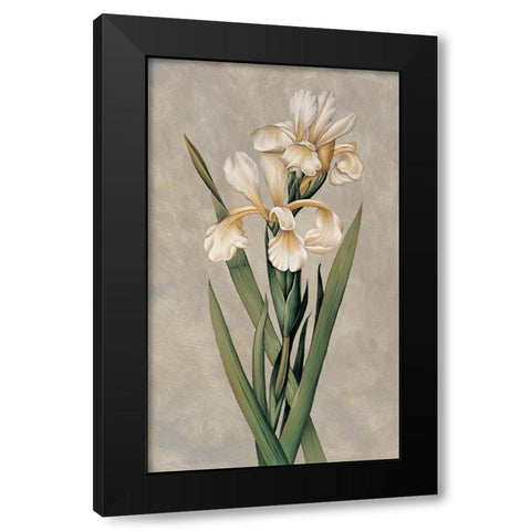 Decorative Irises I Black Modern Wood Framed Art Print with Double Matting by Deveraux, Jill
