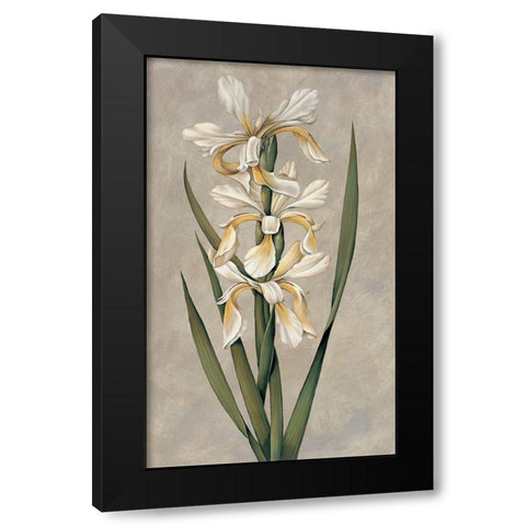 Decorative Irises II Black Modern Wood Framed Art Print by Deveraux, Jill
