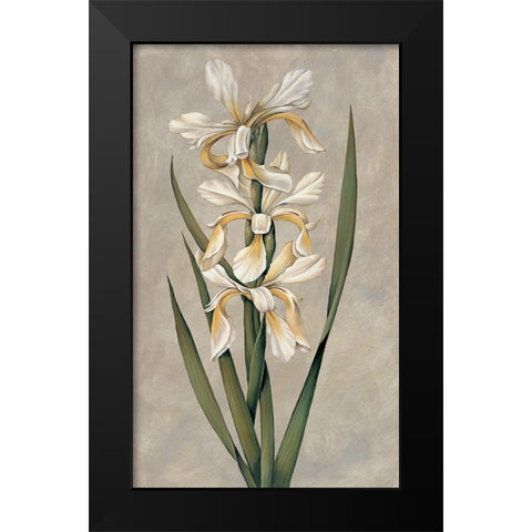 Decorative Irises II Black Modern Wood Framed Art Print by Deveraux, Jill