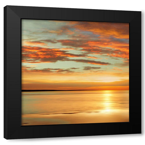 Sunlit I Black Modern Wood Framed Art Print by Seba, John