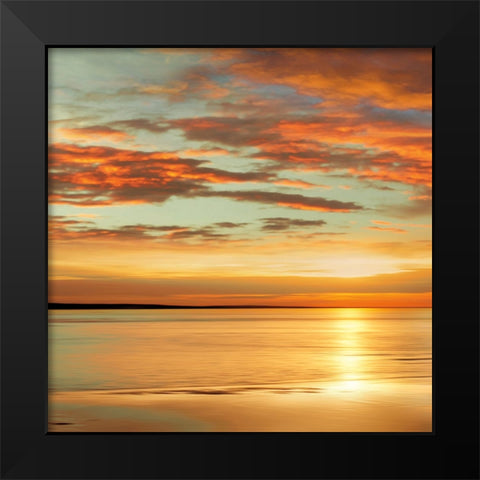 Sunlit I Black Modern Wood Framed Art Print by Seba, John