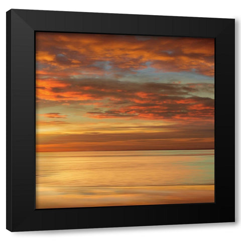 Sunlit II Black Modern Wood Framed Art Print by Seba, John