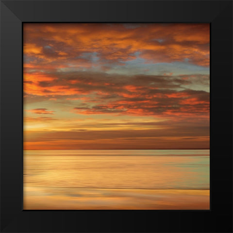 Sunlit II Black Modern Wood Framed Art Print by Seba, John