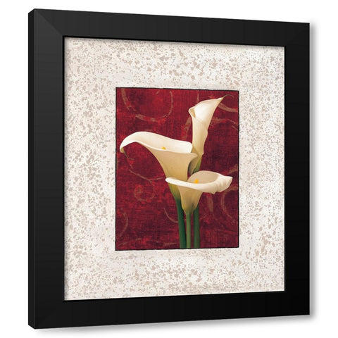 Calla Lilies Black Modern Wood Framed Art Print with Double Matting by Seba, John