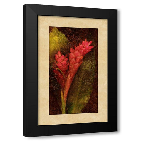 Ginger Black Modern Wood Framed Art Print with Double Matting by Seba, John