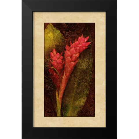 Ginger Black Modern Wood Framed Art Print by Seba, John
