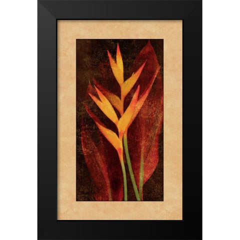 Heliconia Black Modern Wood Framed Art Print by Seba, John