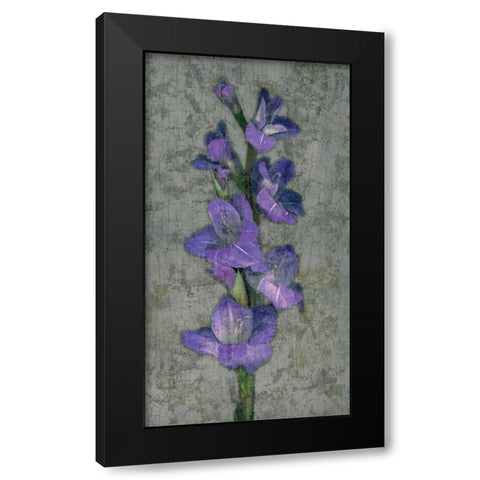Purple Gladiola Black Modern Wood Framed Art Print with Double Matting by Seba, John