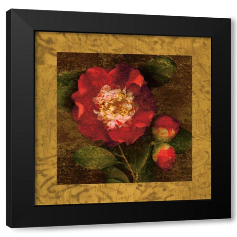 Red Camellias I Black Modern Wood Framed Art Print by Seba, John
