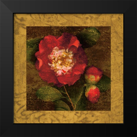 Red Camellias I Black Modern Wood Framed Art Print by Seba, John