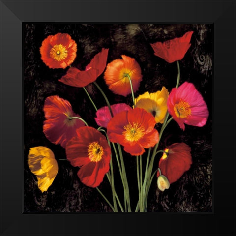 Poppy Bouquet II Black Modern Wood Framed Art Print by Seba, John
