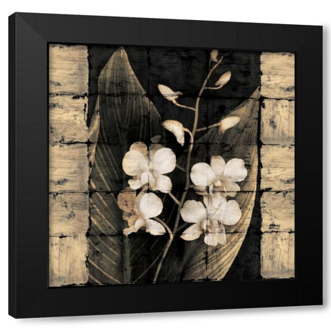 Orchids in Bloom I Black Modern Wood Framed Art Print by Seba, John