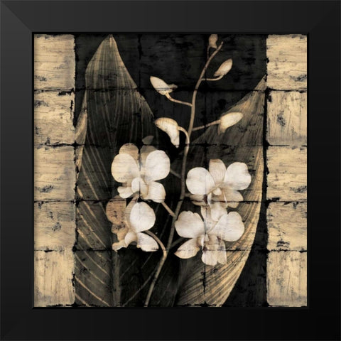 Orchids in Bloom I Black Modern Wood Framed Art Print by Seba, John
