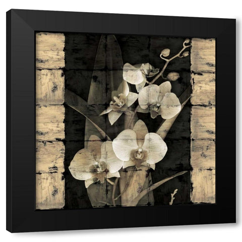 Orchids in Bloom II Black Modern Wood Framed Art Print with Double Matting by Seba, John