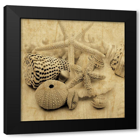 The Collection I Black Modern Wood Framed Art Print by Seba, John