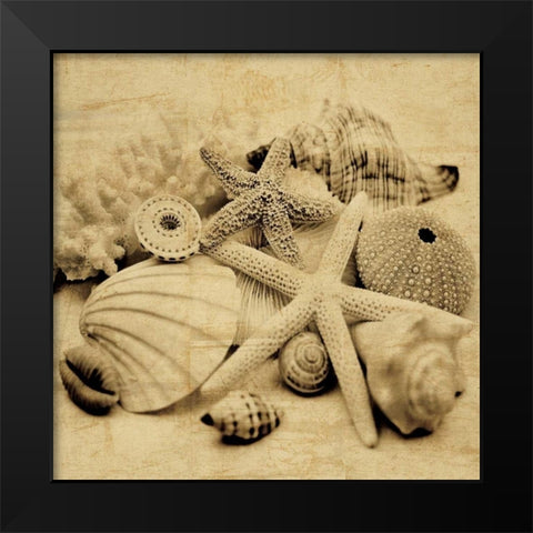 The Collection II Black Modern Wood Framed Art Print by Seba, John