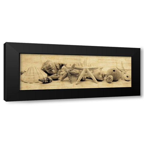 Treasures II Black Modern Wood Framed Art Print by Seba, John