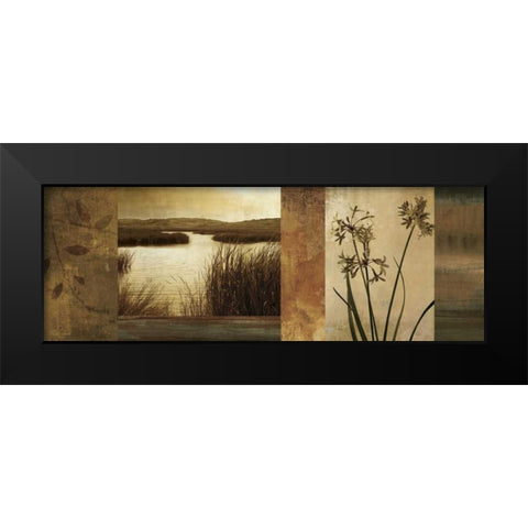 Laguna I Black Modern Wood Framed Art Print by Seba, John