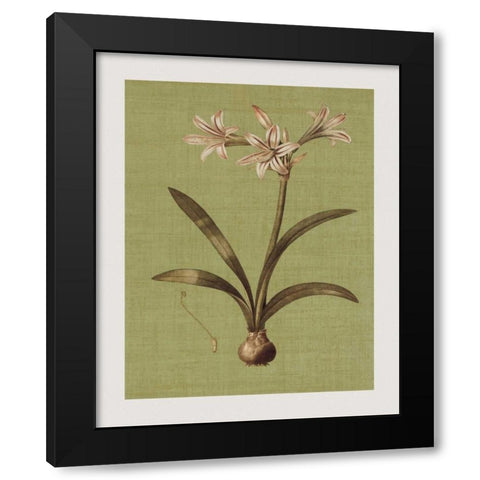 Botanica Verde I Black Modern Wood Framed Art Print with Double Matting by Seba, John