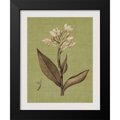 Botanica Verde II Black Modern Wood Framed Art Print by Seba, John