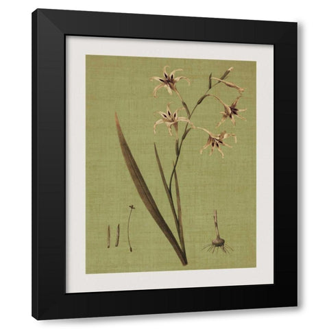 Botanica Verde IV Black Modern Wood Framed Art Print with Double Matting by Seba, John