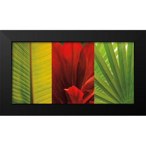 Tropical Treasure II Black Modern Wood Framed Art Print by Seba, John