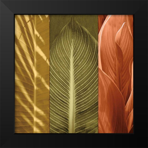 Tropical Trio II Black Modern Wood Framed Art Print by Seba, John
