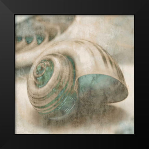 Coastal Gems II Black Modern Wood Framed Art Print by Seba, John