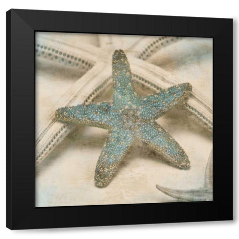 Coastal Gems III Black Modern Wood Framed Art Print by Seba, John