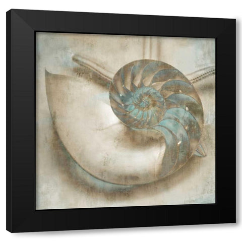 Coastal Gems IV Black Modern Wood Framed Art Print by Seba, John