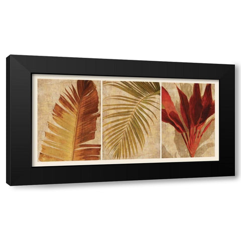 Palm Vista I Black Modern Wood Framed Art Print by Seba, John